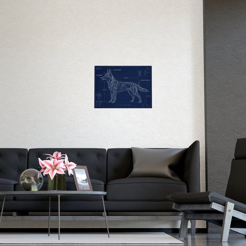 Belgian Malinois Blueprint Poster — Matte Dog Anatomy Print (Horizontal)