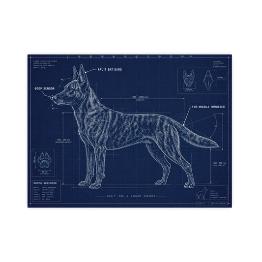Belgian Malinois Blueprint Poster — Matte Dog Anatomy Print (Horizontal)