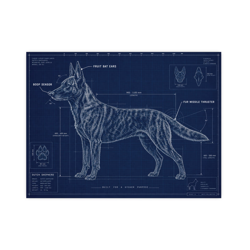Belgian Malinois Blueprint Poster — Matte Dog Anatomy Print (Horizontal)