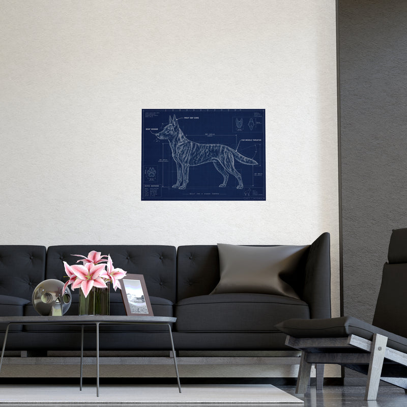 Belgian Malinois Blueprint Poster — Matte Dog Anatomy Print (Horizontal)