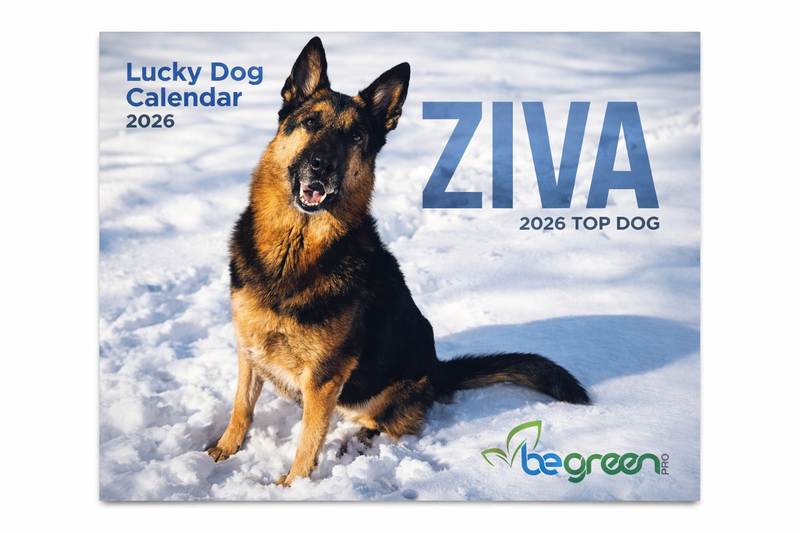 Dog Calendar 2026